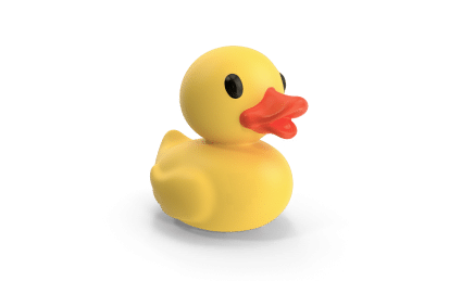 duck image